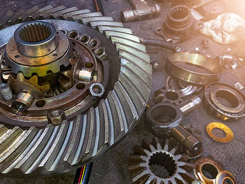 Front & Rear Differential Front & Rear Differential